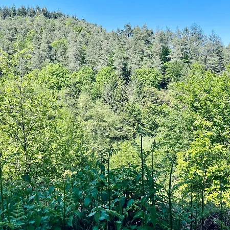 Apartman Berg&tal - Naturnah