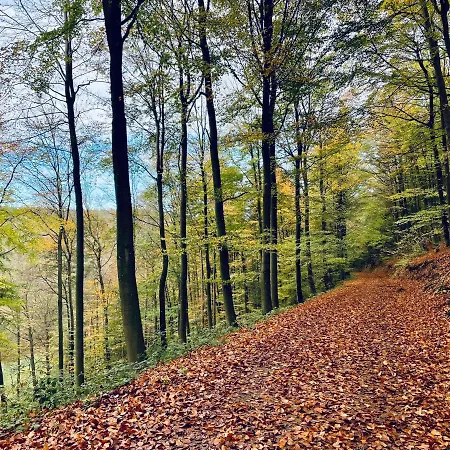 Berg&tal - Naturnah 公寓 *