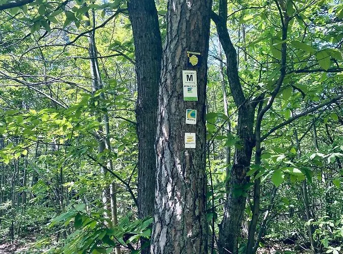 Appartement Berg&tal - Naturnah Trèves