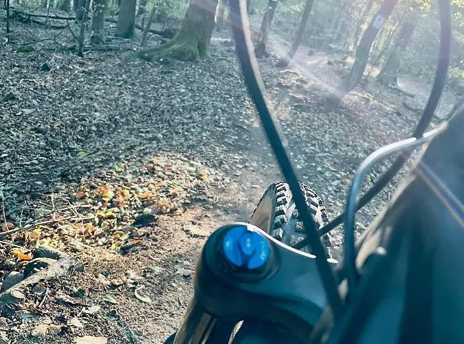 Berg&tal - Naturnah 特里尔