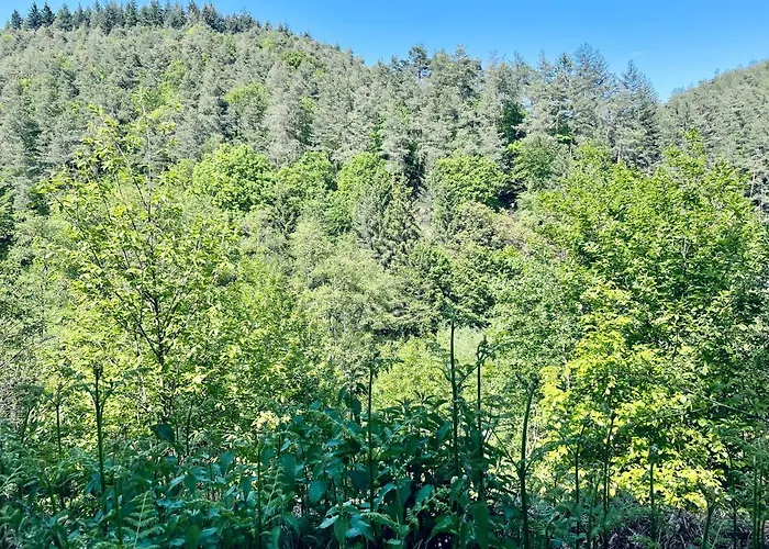 Appartement Berg&tal - Naturnah