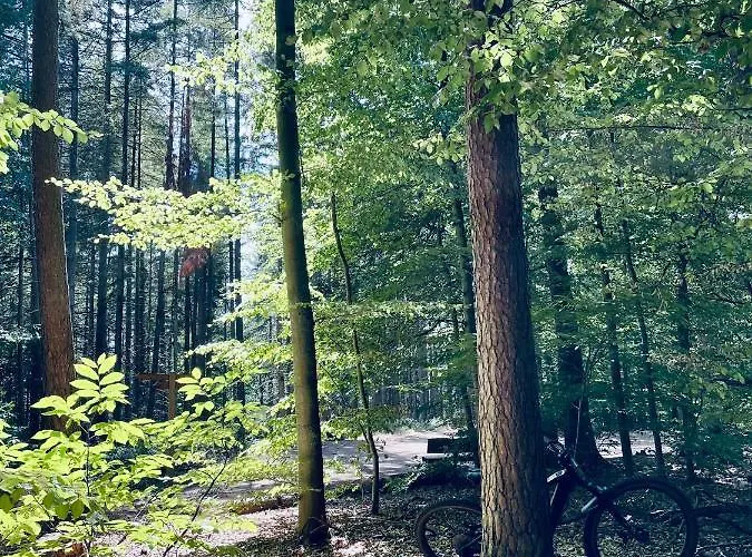 Apartman Berg&tal - Naturnah *